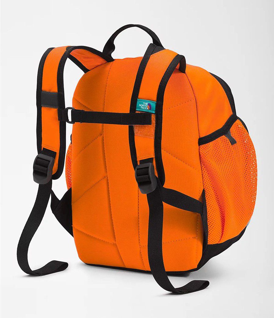 Dětské Batoh The North Face Sprout Oranžové | ACTDFPY-83