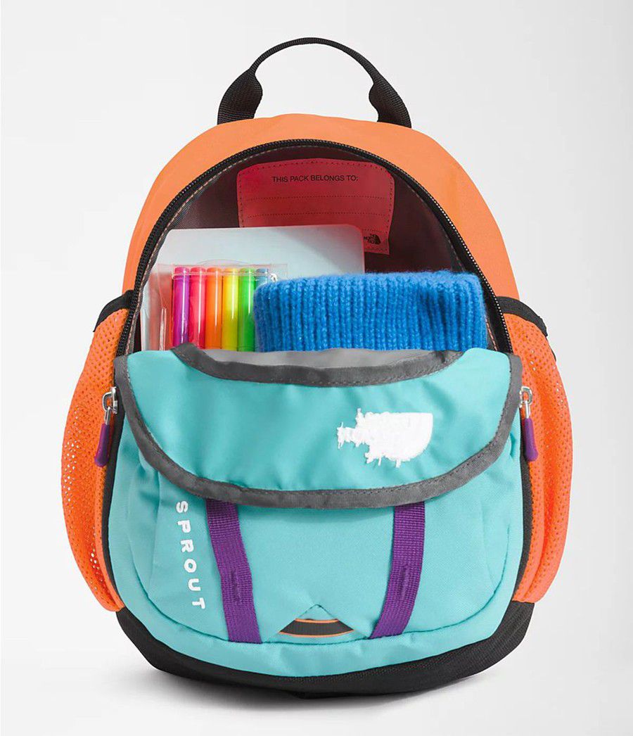 Dětské Batoh The North Face Sprout Oranžové | ACTDFPY-83