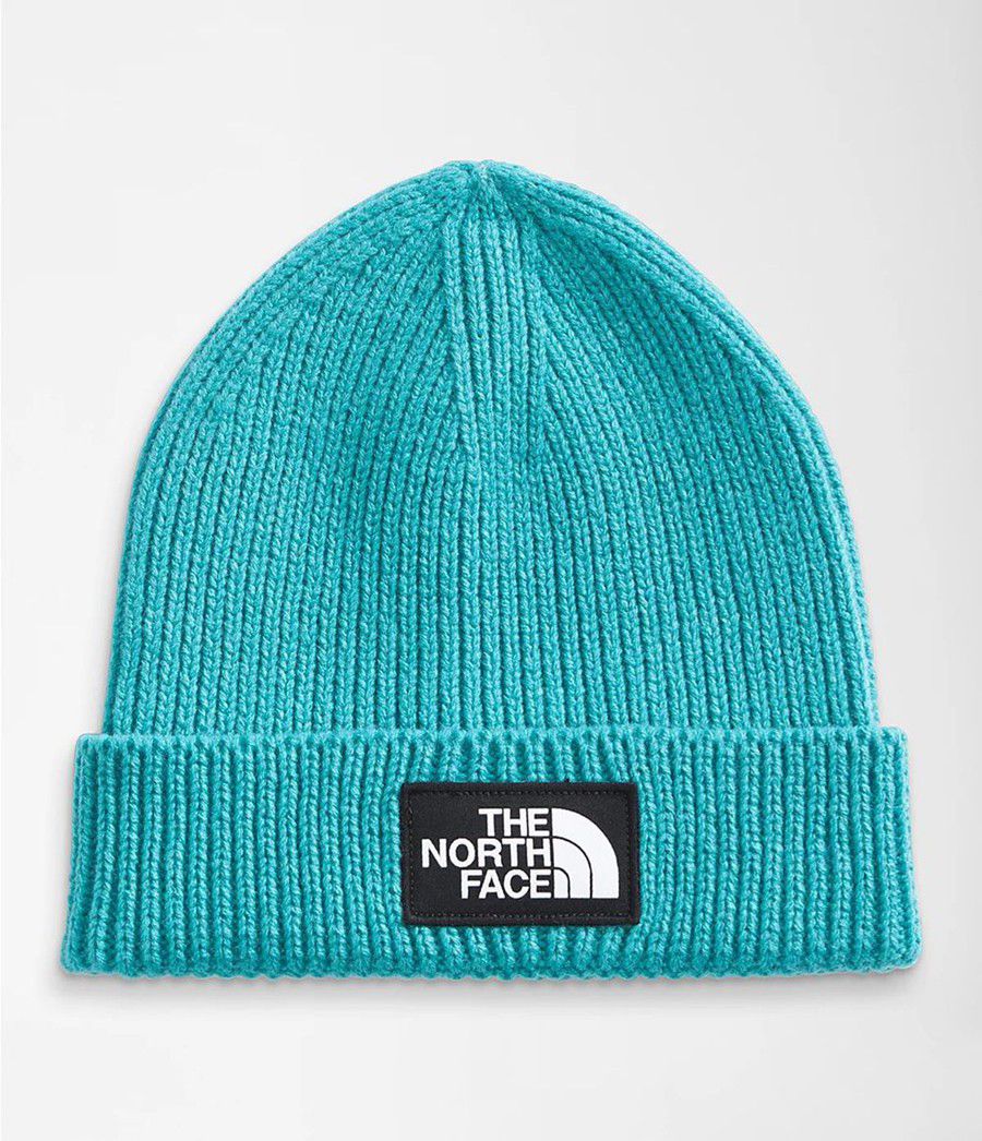 Dětské Beanies The North Face Tnf Logo Box Cuffed Blankyt | BTJIWOQ-71