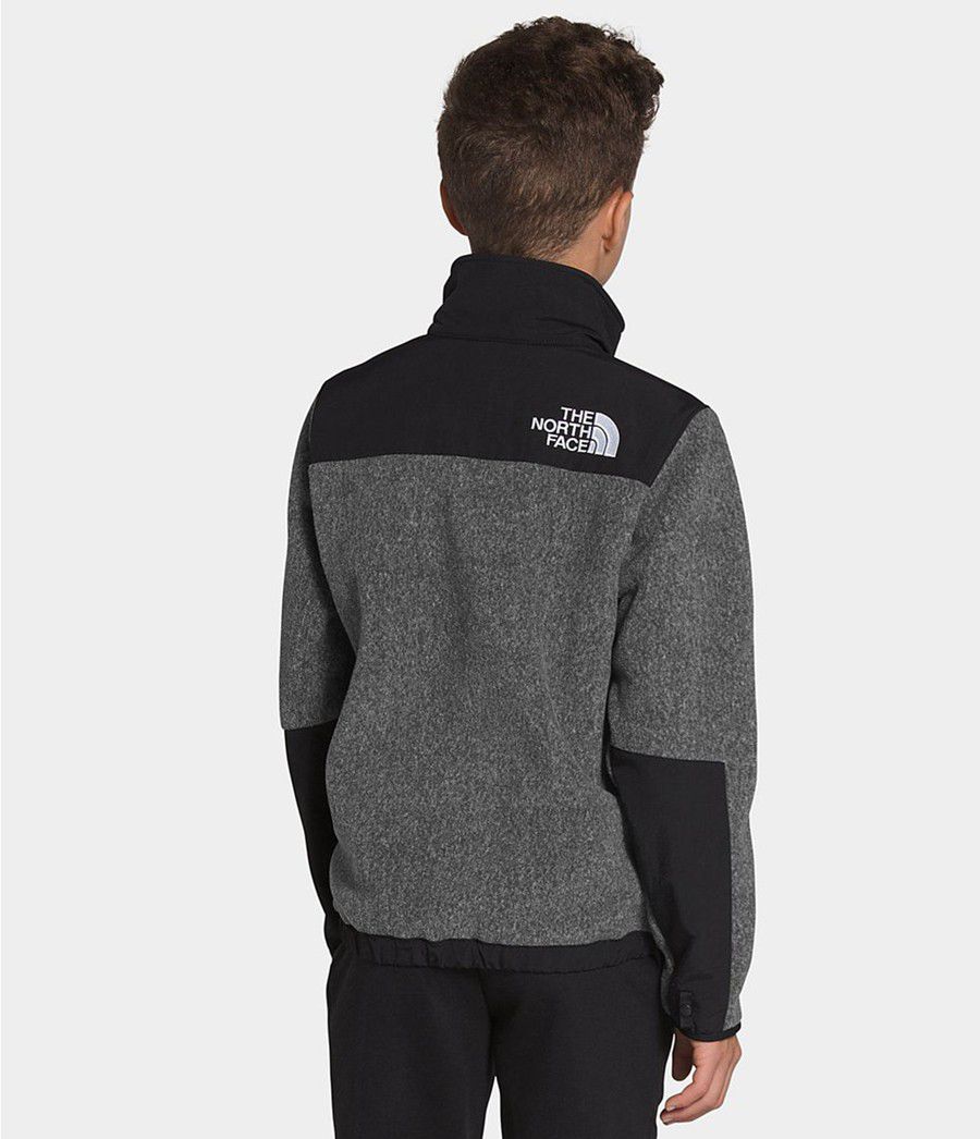 Dětské Bundy The North Face 95 Retro Denali Šedé | GBATRUX-02