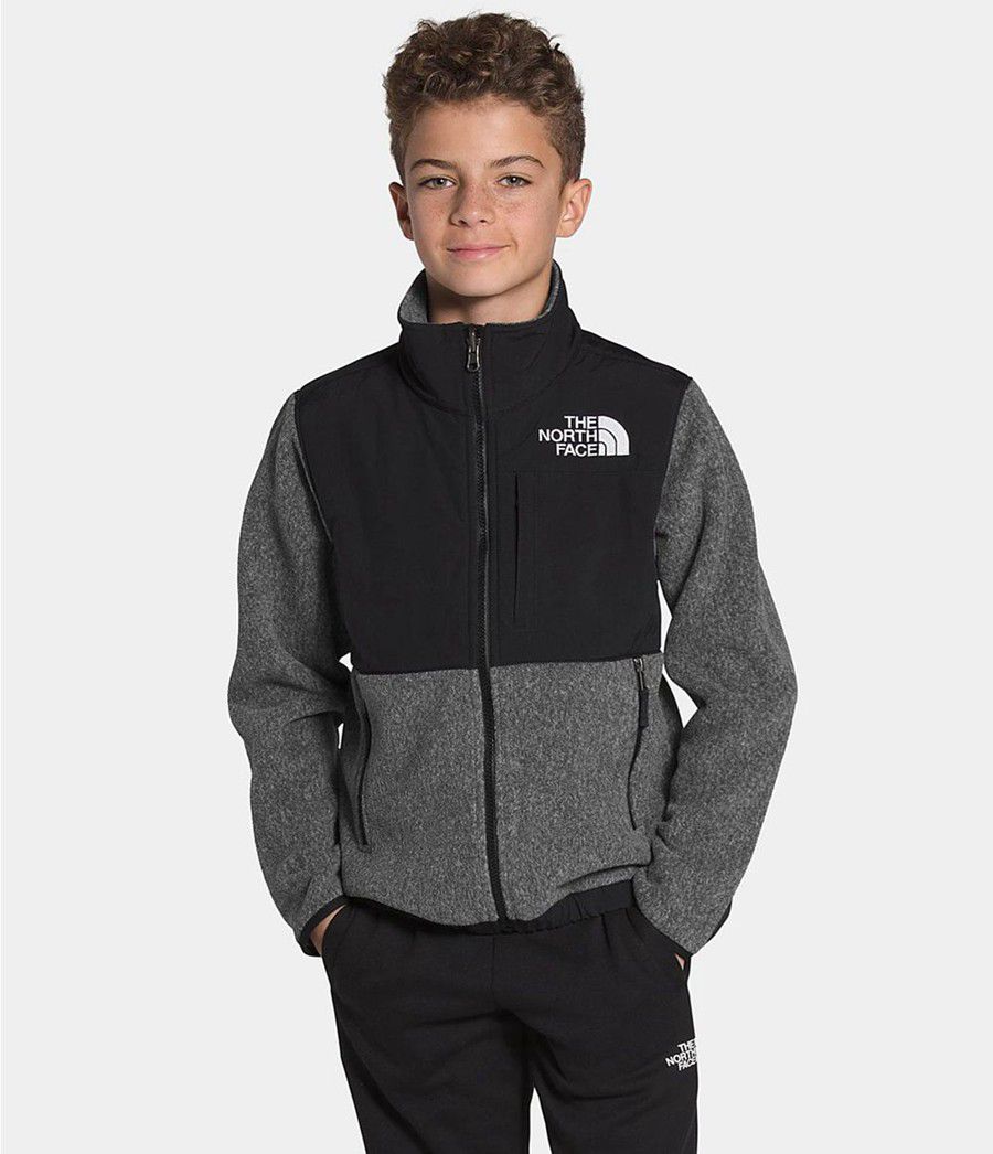 Dětské Bundy The North Face 95 Retro Denali Šedé | GBATRUX-02