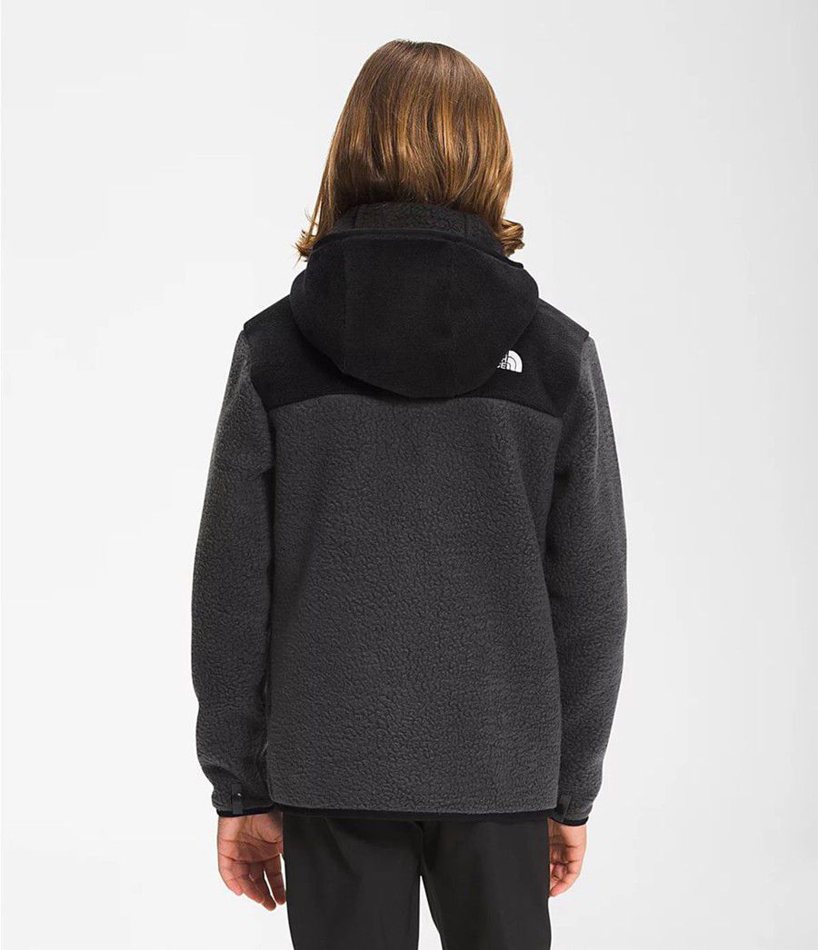 Dětské Bundy The North Face Forrest Full Zip Hooded Fleece Šedé | TKIXYUD-26