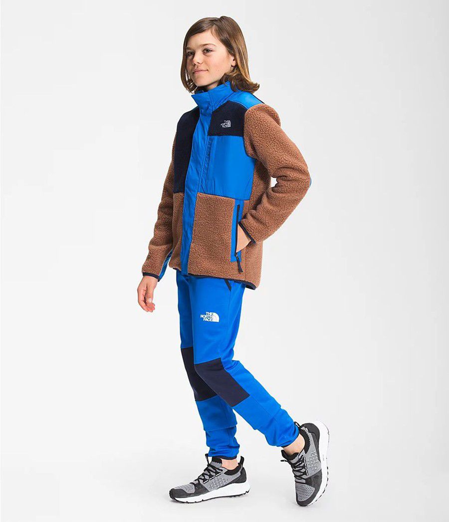 Dětské Bundy The North Face Forrest Mixed-Media Tmavě Hnědé | ZYSMULK-93