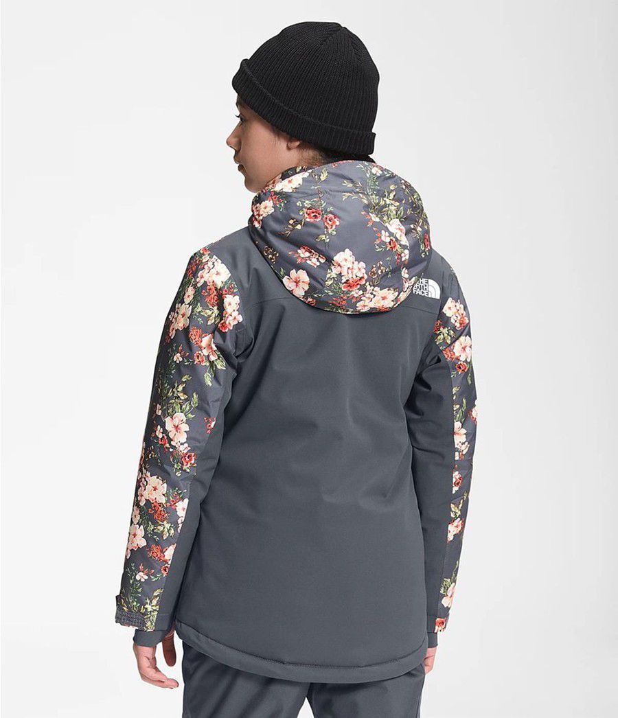 Dětské Bundy The North Face Freedom Extreme Insulated Šedé | IGLTCNW-36