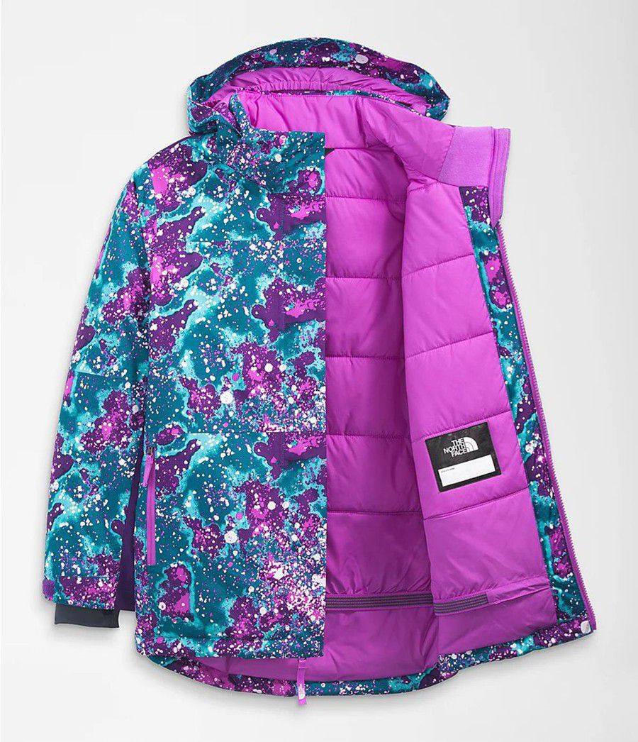Dětské Bundy The North Face Freedom Extreme Insulated Viacfarebný | BWYCVPK-96