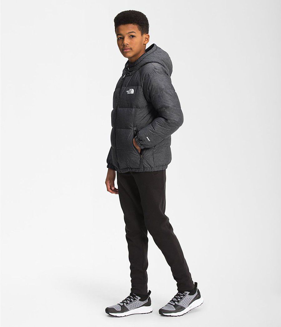 Dětské Bundy The North Face Hyalite Šedé | BQSZPCH-35