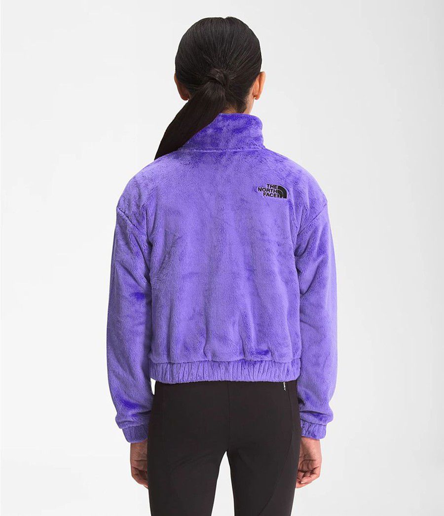Dětské Bundy The North Face Osolita Full Zip Fialové | NUDFSYQ-43