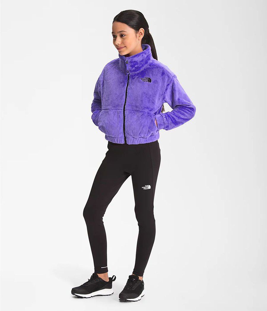 Dětské Bundy The North Face Osolita Full Zip Fialové | NUDFSYQ-43