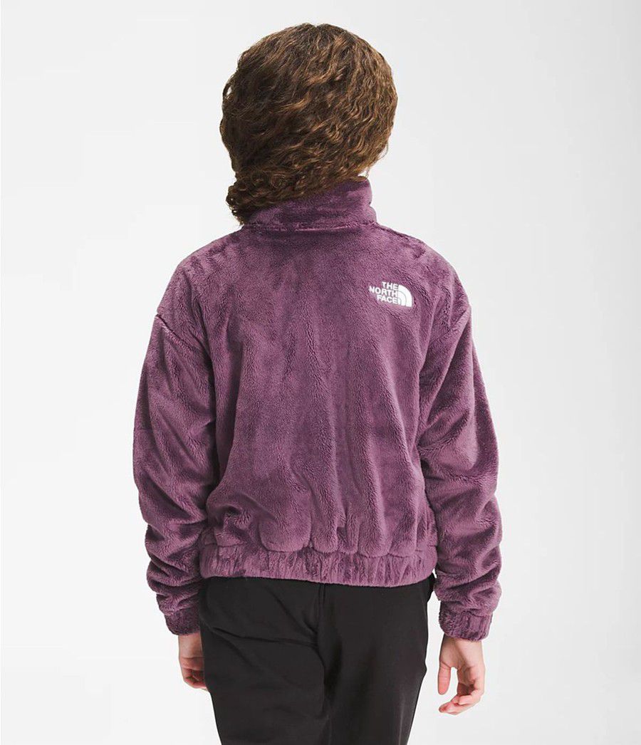 Dětské Bundy The North Face Osolita Full Zip Fialové | DCPMTLB-25