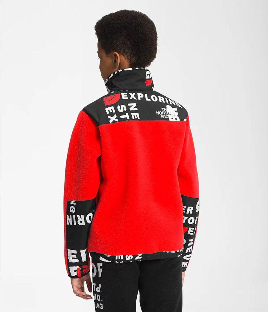 Dětské Bundy The North Face Printed 95 Retro Denali Červené Černé | UENATIM-63