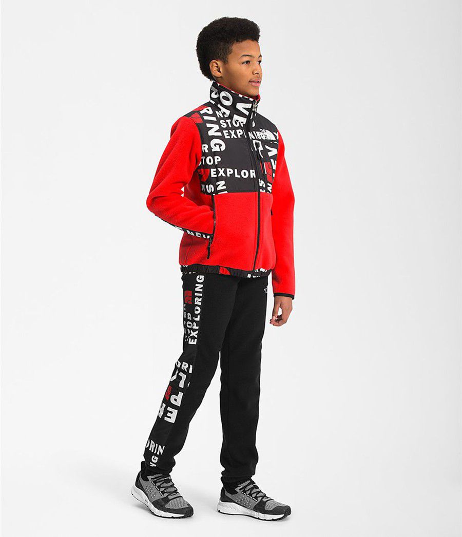 Dětské Bundy The North Face Printed 95 Retro Denali Červené Černé | UENATIM-63