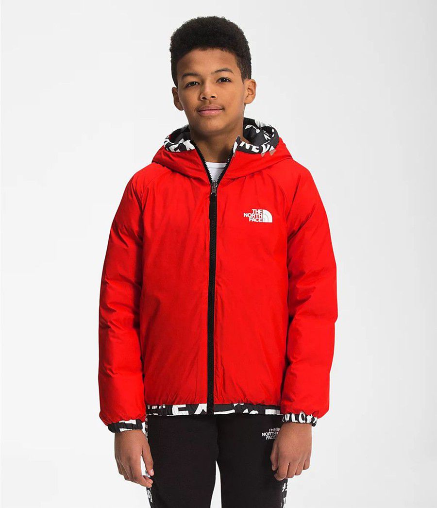 Dětské Bundy The North Face Printed Hyalite Černé | RGCKYEQ-26