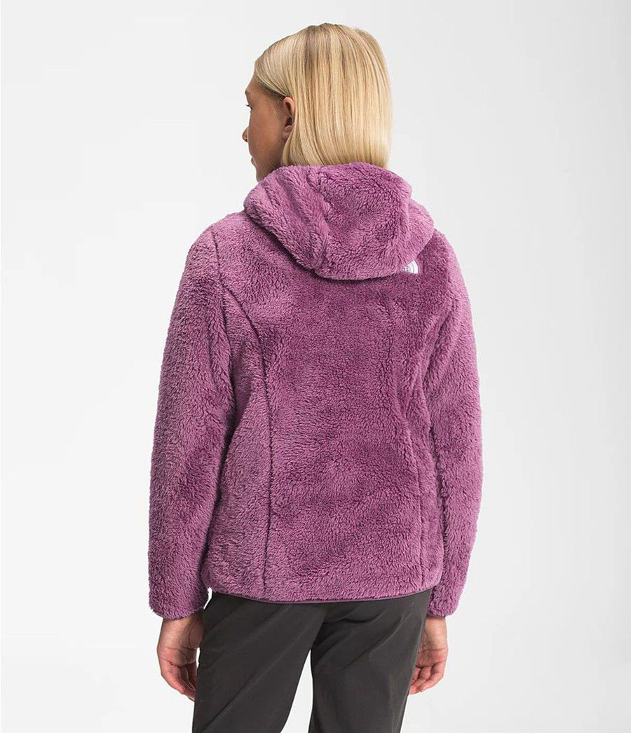Dětské Bundy The North Face Suave Oso Hooded Full Zip Fialové | IEHZKNA-51