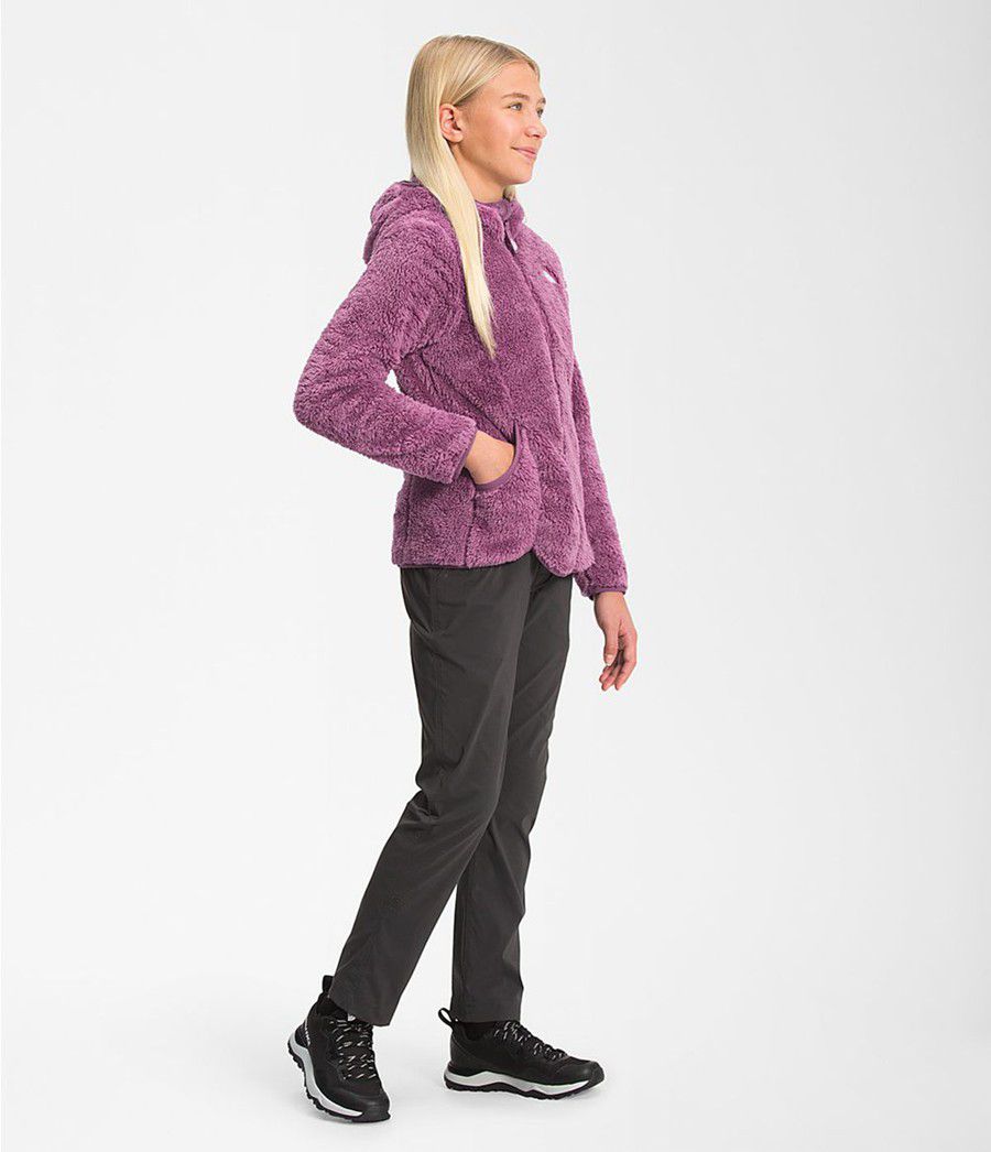 Dětské Bundy The North Face Suave Oso Hooded Full Zip Fialové | IEHZKNA-51