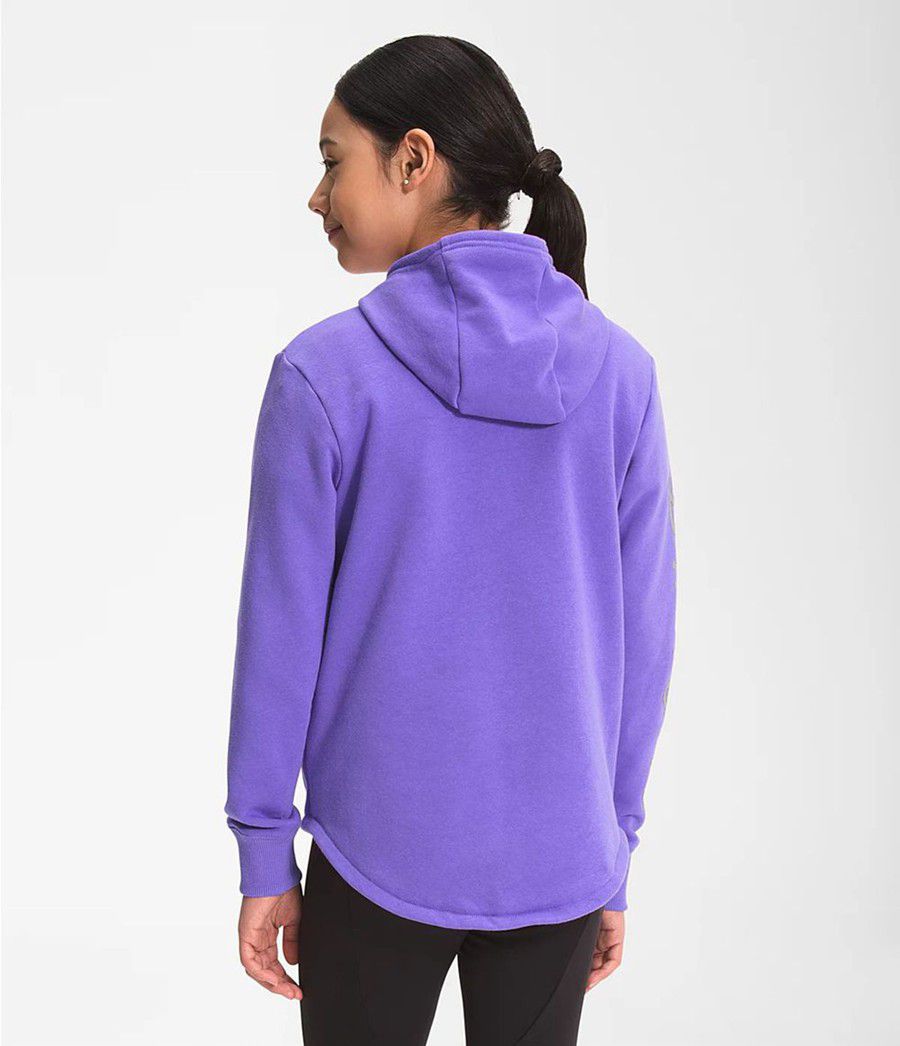 Dětské Hoodies The North Face Camp Fleece Pullover Fialové | OUZPDHR-34