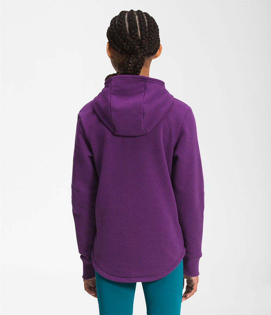 Dětské Hoodies The North Face Camp Fleece Pullover Fialové | EKWZSFG-58