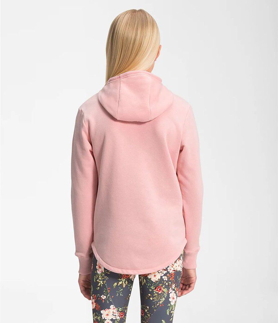 Dětské Hoodies The North Face Camp Fleece Pullover Růžové | CYWDRKE-40