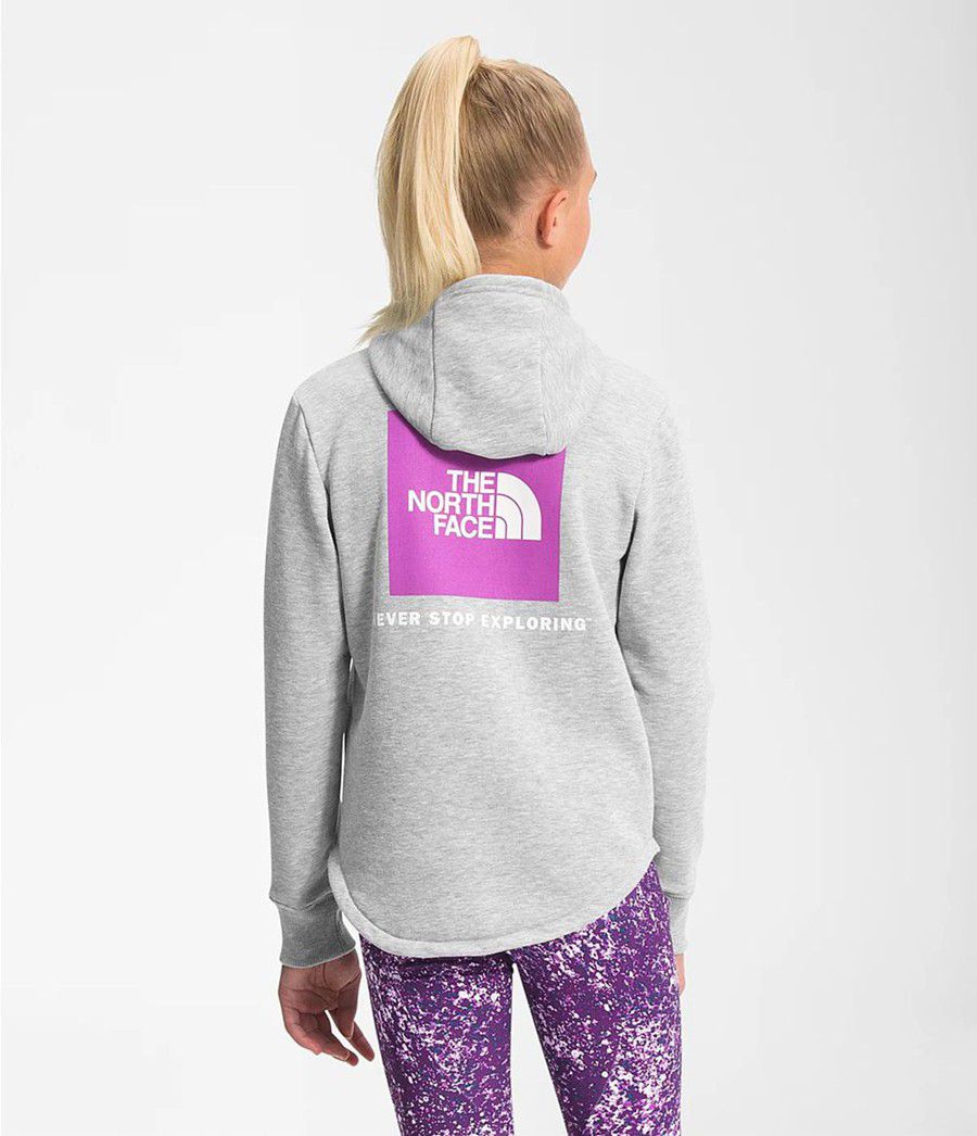 Dětské Hoodies The North Face Camp Fleece Pullover Světle Šedé | ZUDTXAQ-20