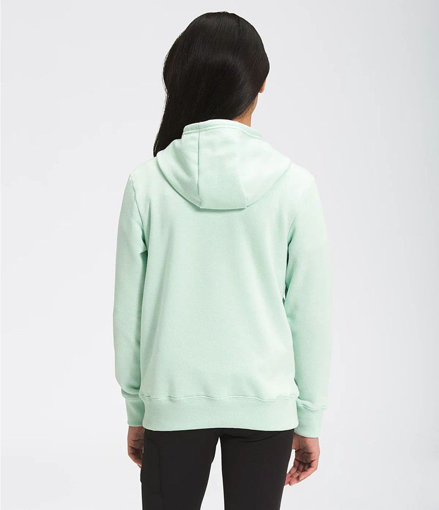 Dětské Hoodies The North Face Camp Fleece Pullover Tyrkysové | WSLPEKG-92