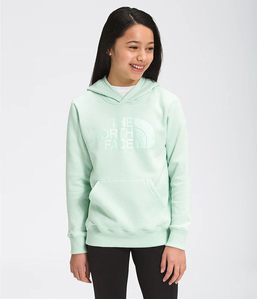 Dětské Hoodies The North Face Camp Fleece Pullover Tyrkysové | WSLPEKG-92