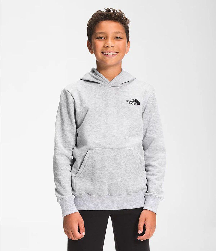 Dětské Hoodies The North Face Camp Fleece Pullover Světle Šedé | FRONLXM-63