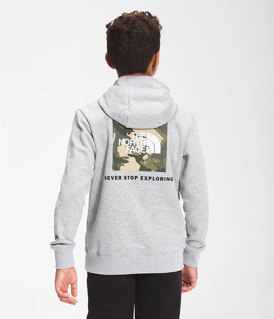 Dětské Hoodies The North Face Camp Fleece Pullover Světle Šedé | FRONLXM-63