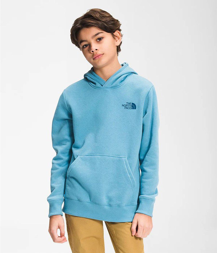 Dětské Hoodies The North Face Camp Fleece Pullover Blankyt | GYTKIFB-57