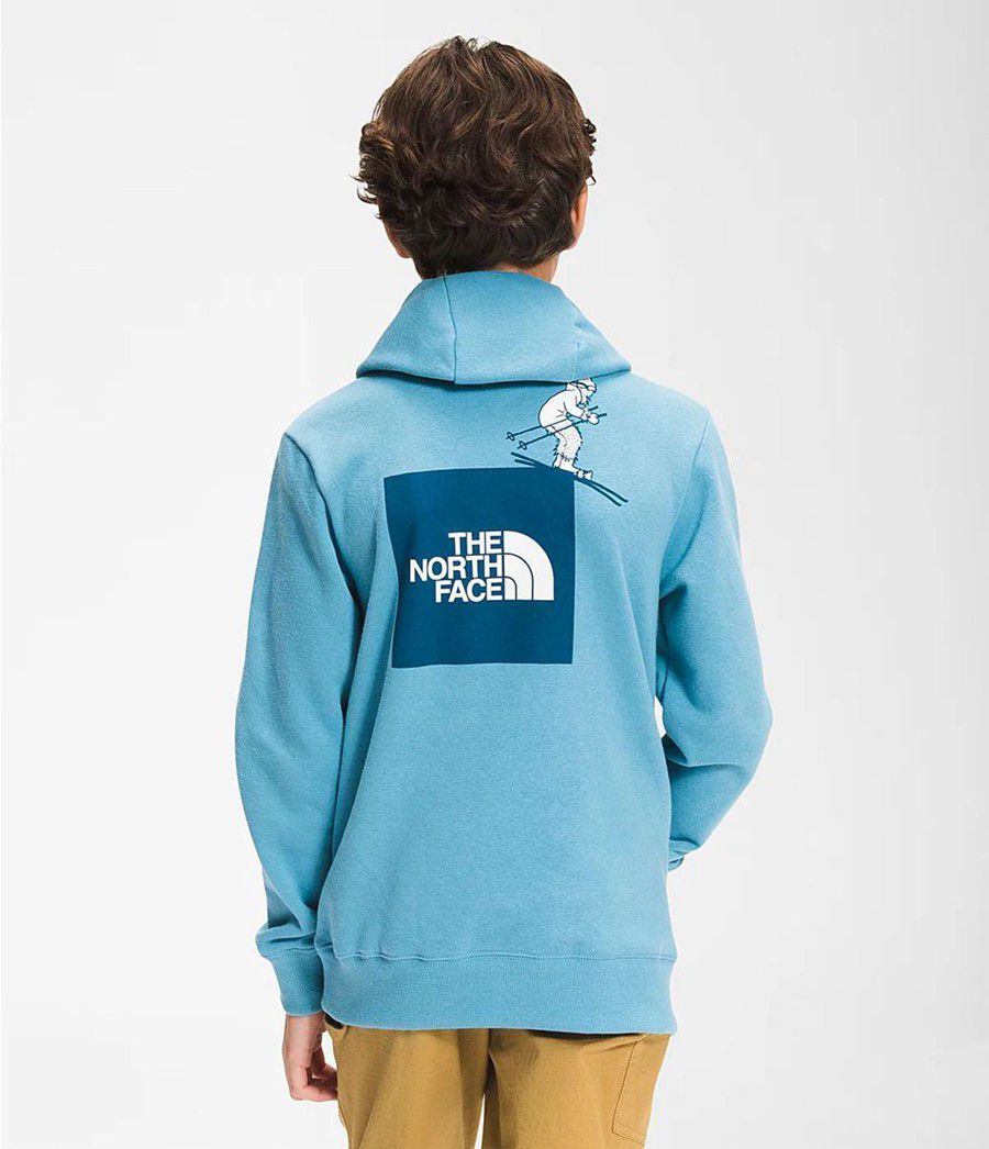 Dětské Hoodies The North Face Camp Fleece Pullover Blankyt | GYTKIFB-57