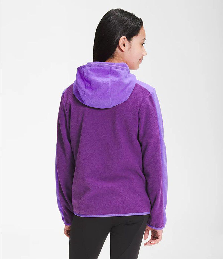 Dětské Hoodies The North Face Glacier Full Zip Fialové | SBEOFGZ-27