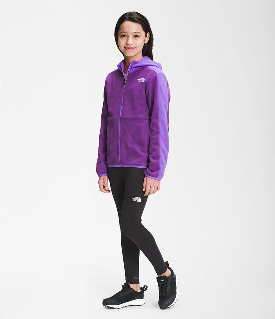 Dětské Hoodies The North Face Glacier Full Zip Fialové | SBEOFGZ-27