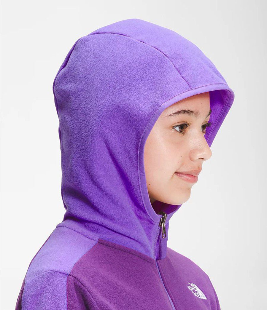 Dětské Hoodies The North Face Glacier Full Zip Fialové | SBEOFGZ-27