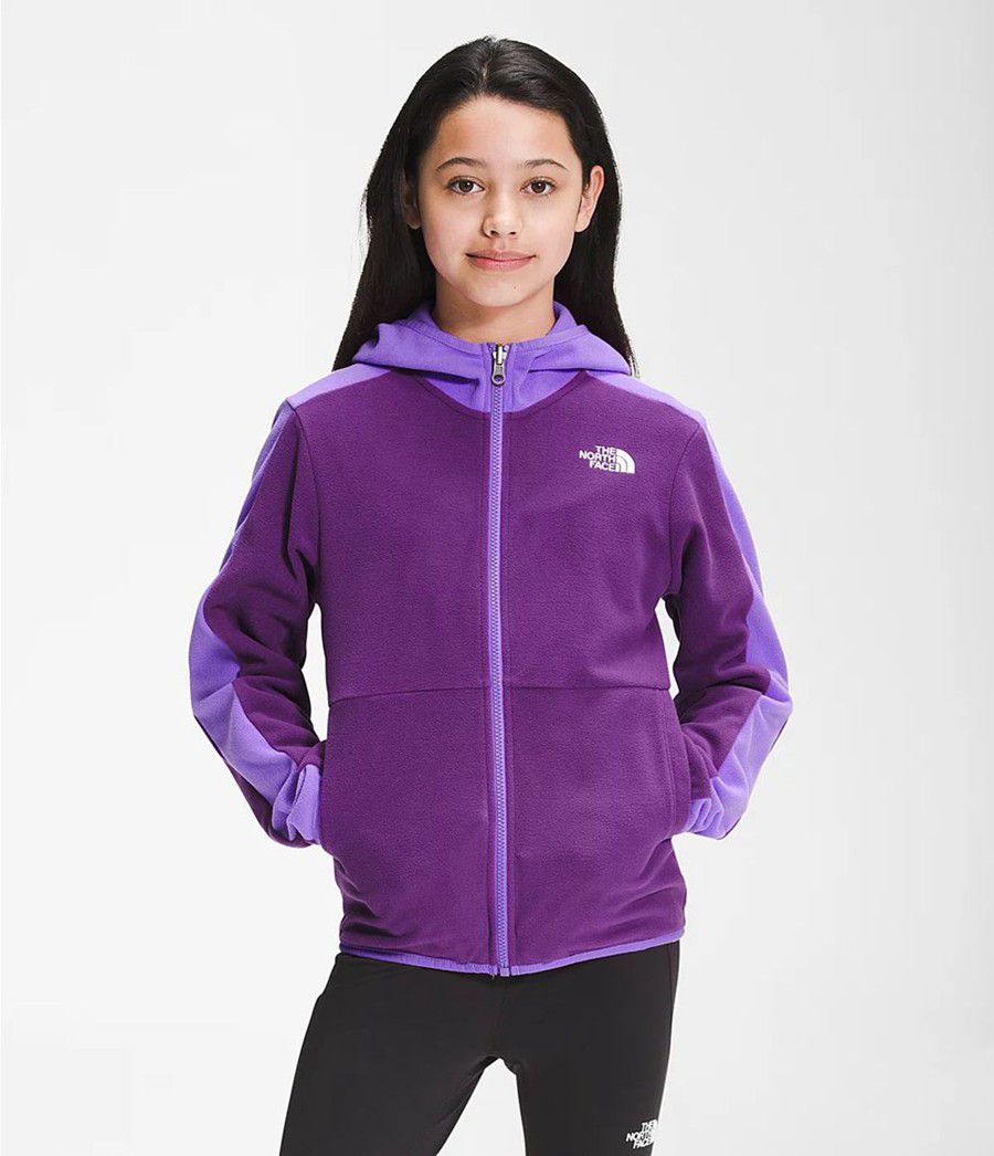 Dětské Hoodies The North Face Glacier Full Zip Fialové | SBEOFGZ-27