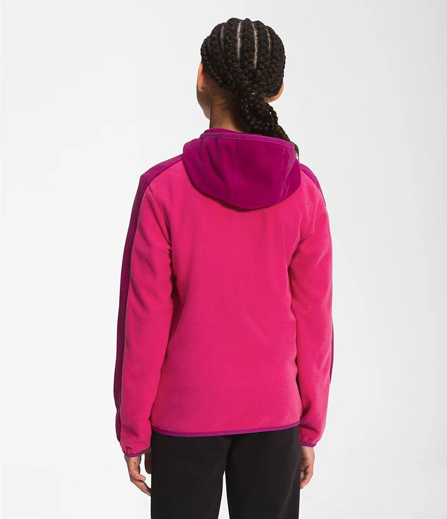 Dětské Hoodies The North Face Glacier Full Zip Růžové | JATWQFV-19