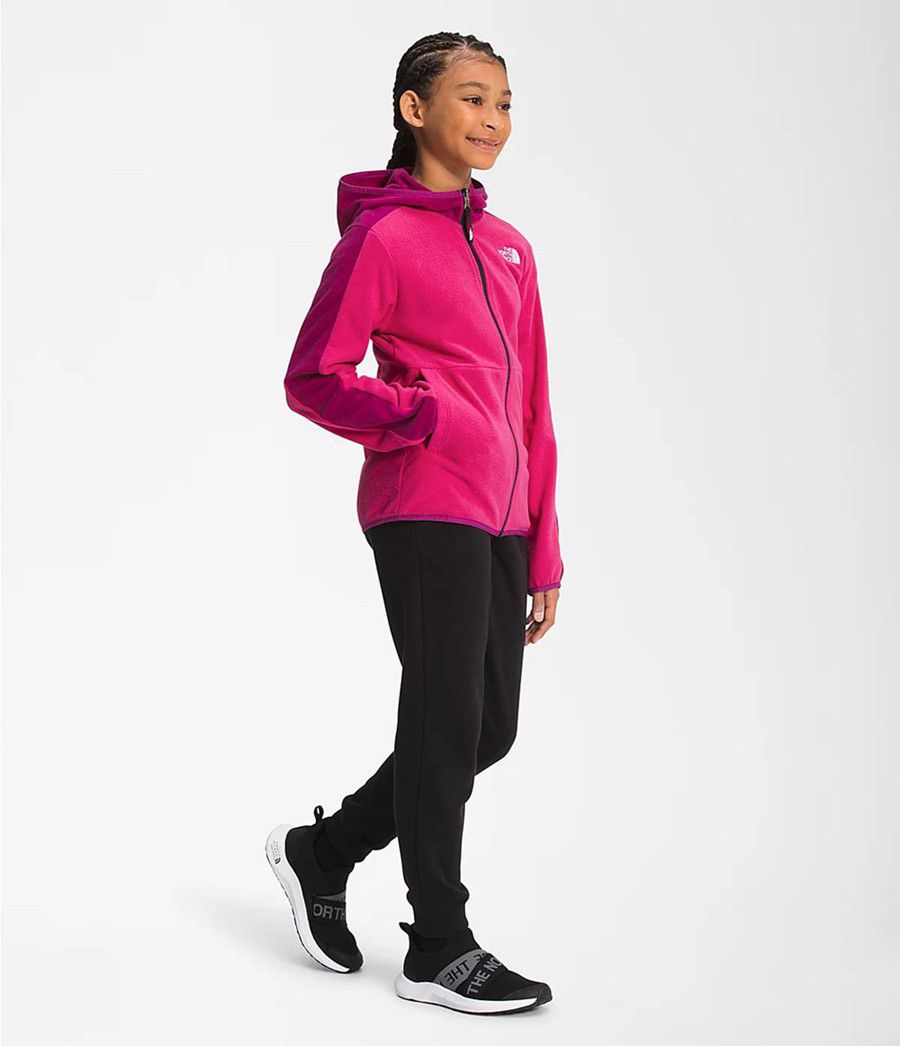 Dětské Hoodies The North Face Glacier Full Zip Růžové | JATWQFV-19