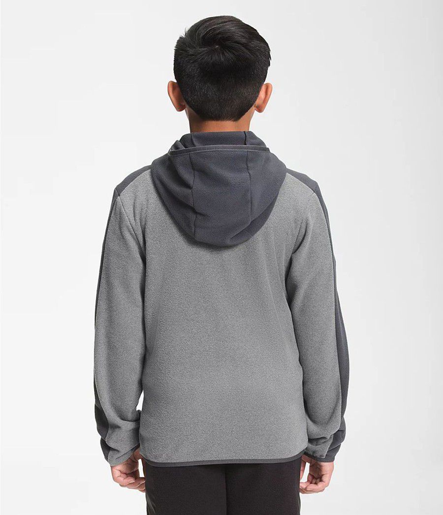 Dětské Hoodies The North Face Glacier Full Zip Šedé | GLRXHZB-62
