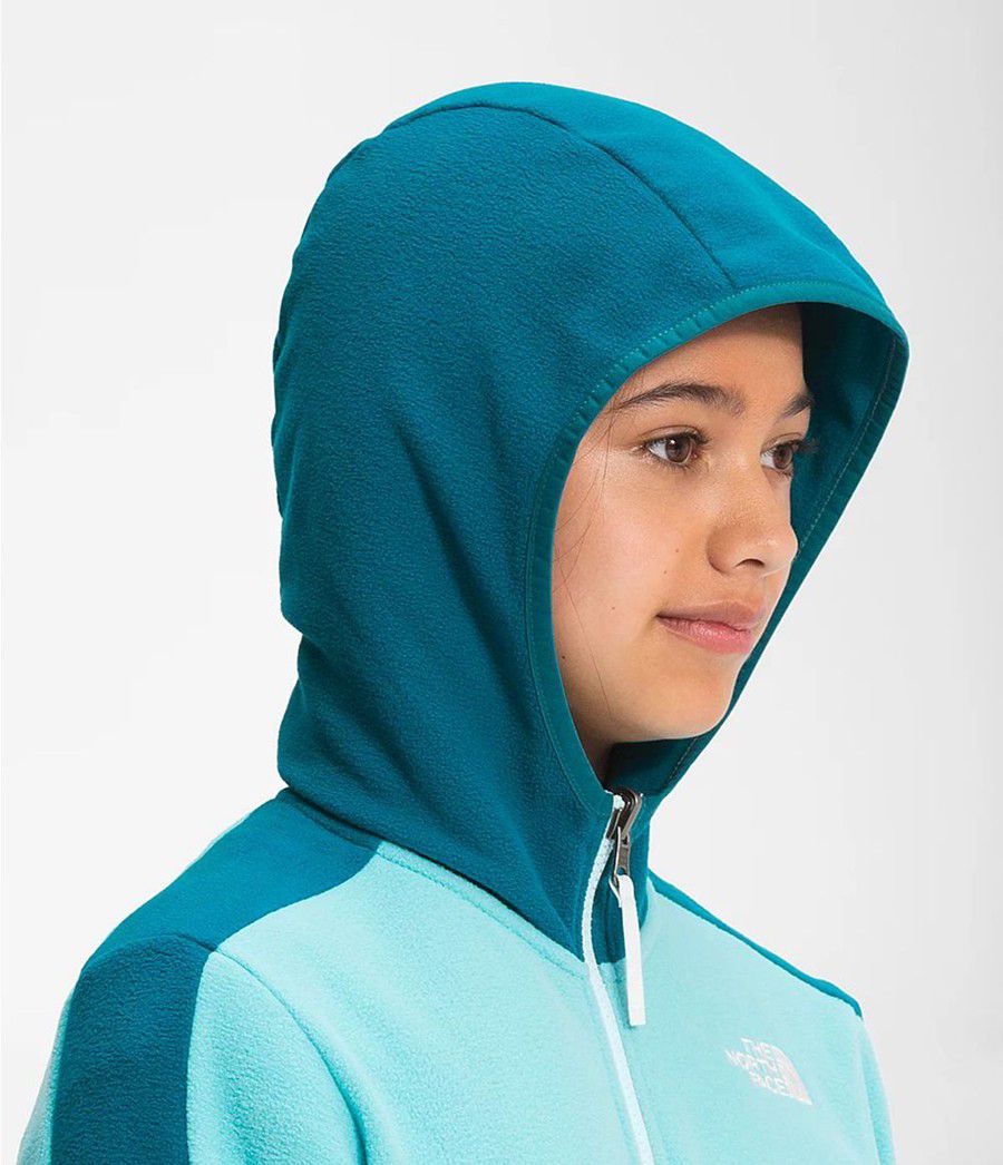 Dětské Hoodies The North Face Glacier Full Zip Blankyt | GVWQLCZ-62