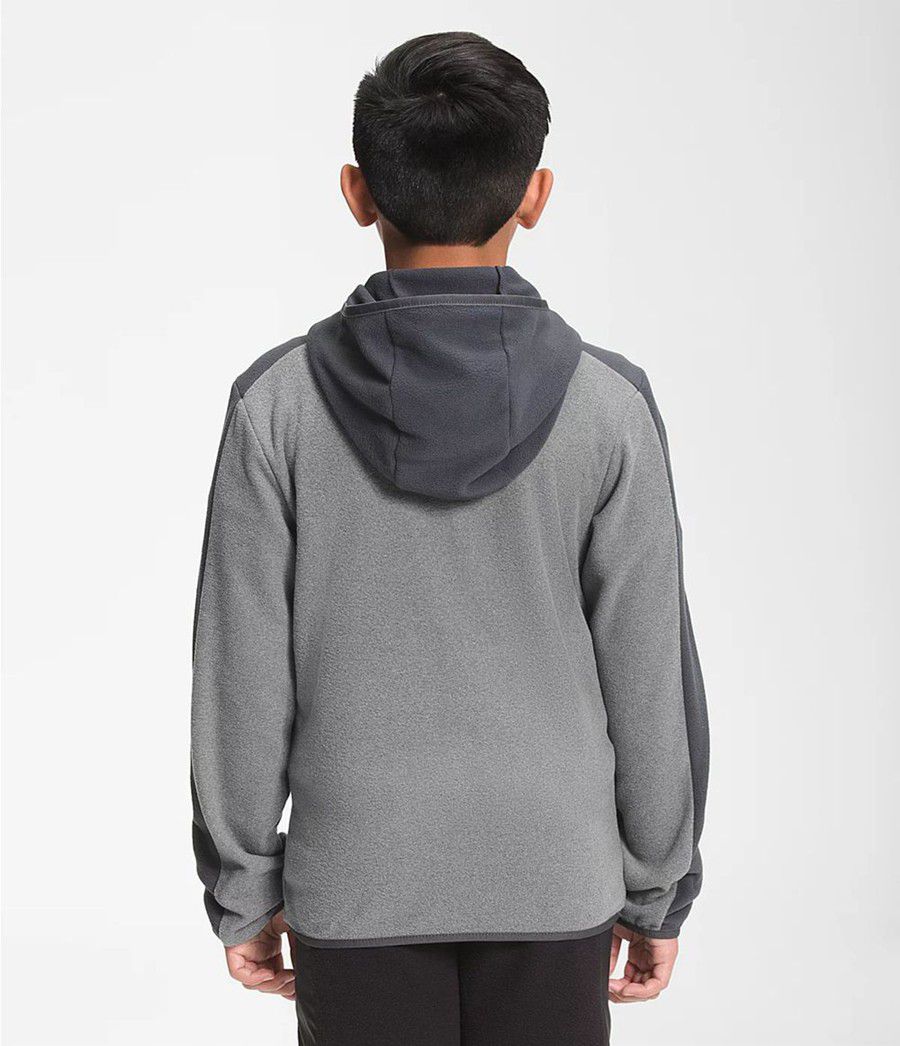 Dětské Hoodies The North Face Glacier Full Zip Šedé | RAJGILH-78