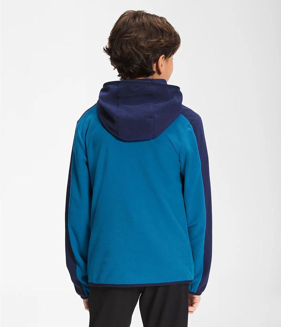 Dětské Hoodies The North Face Glacier Full Zip Blankyt | EKTMLZF-78