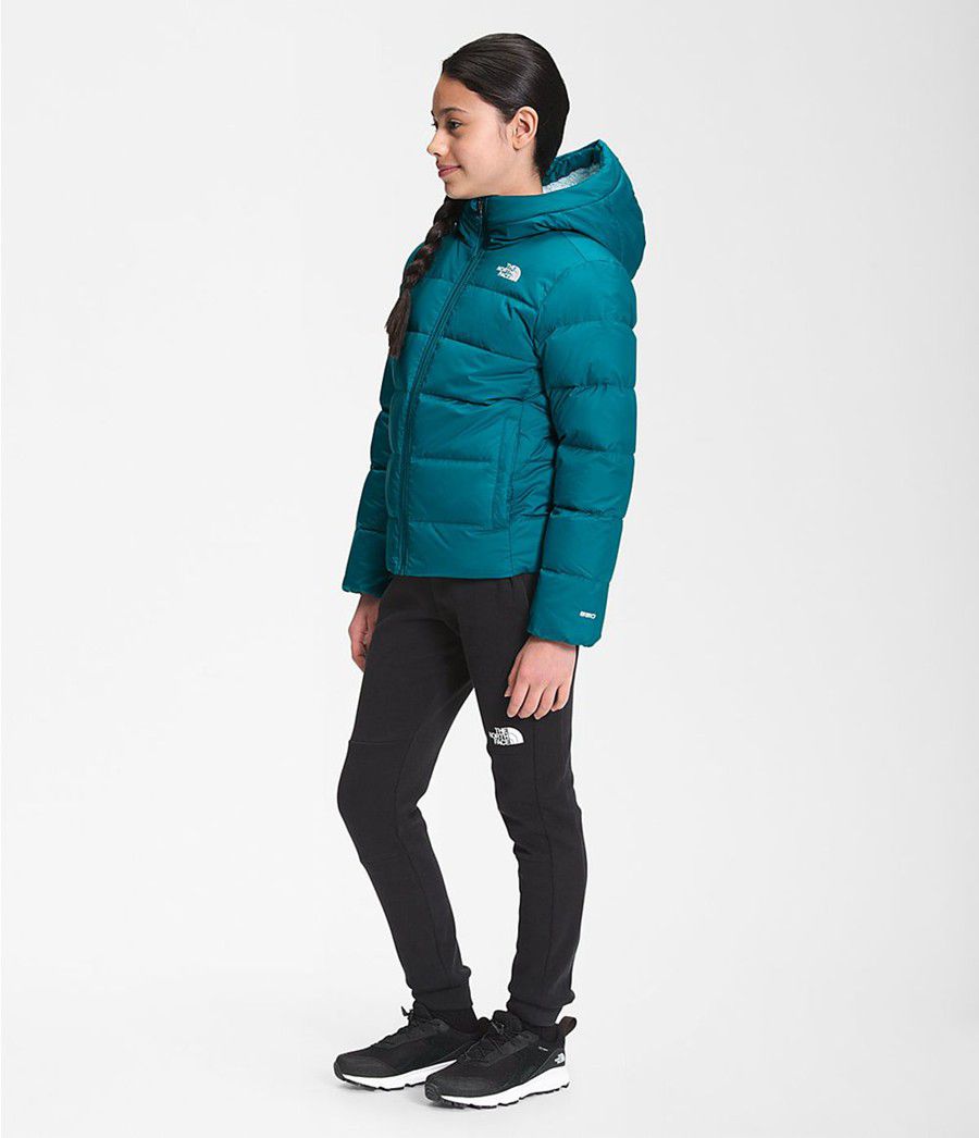 Dětské Hoodies The North Face Moondoggy Blankyt | IXJLOBV-97