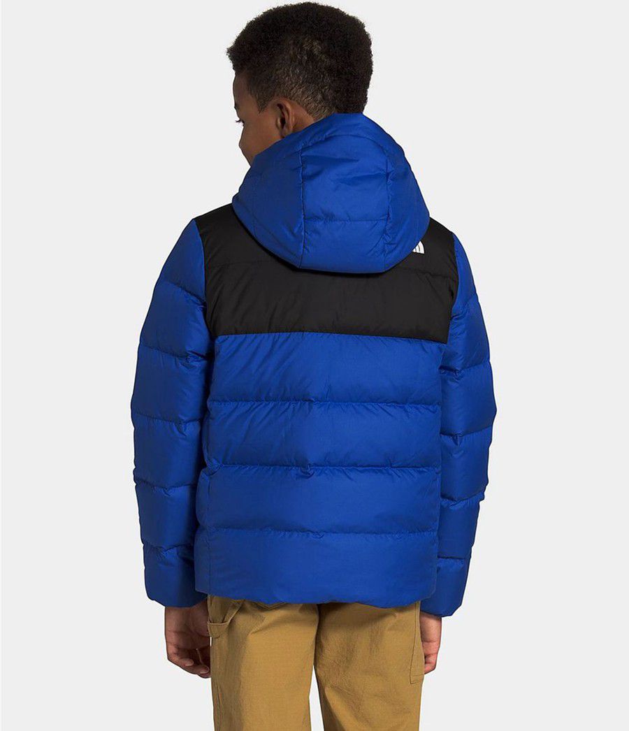 Dětské Hoodies The North Face Moondoggy Blankyt | YXSMAIC-65