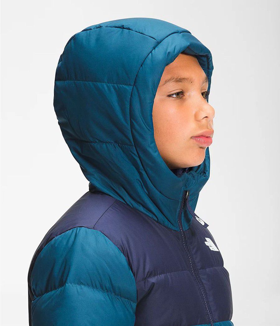 Dětské Hoodies The North Face Moondoggy Blankyt | WSDQMNP-74