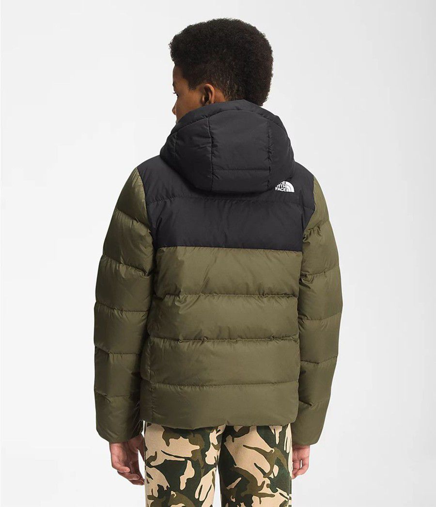 Dětské Hoodies The North Face Moondoggy Olivy Zelené | PMDUZIT-94