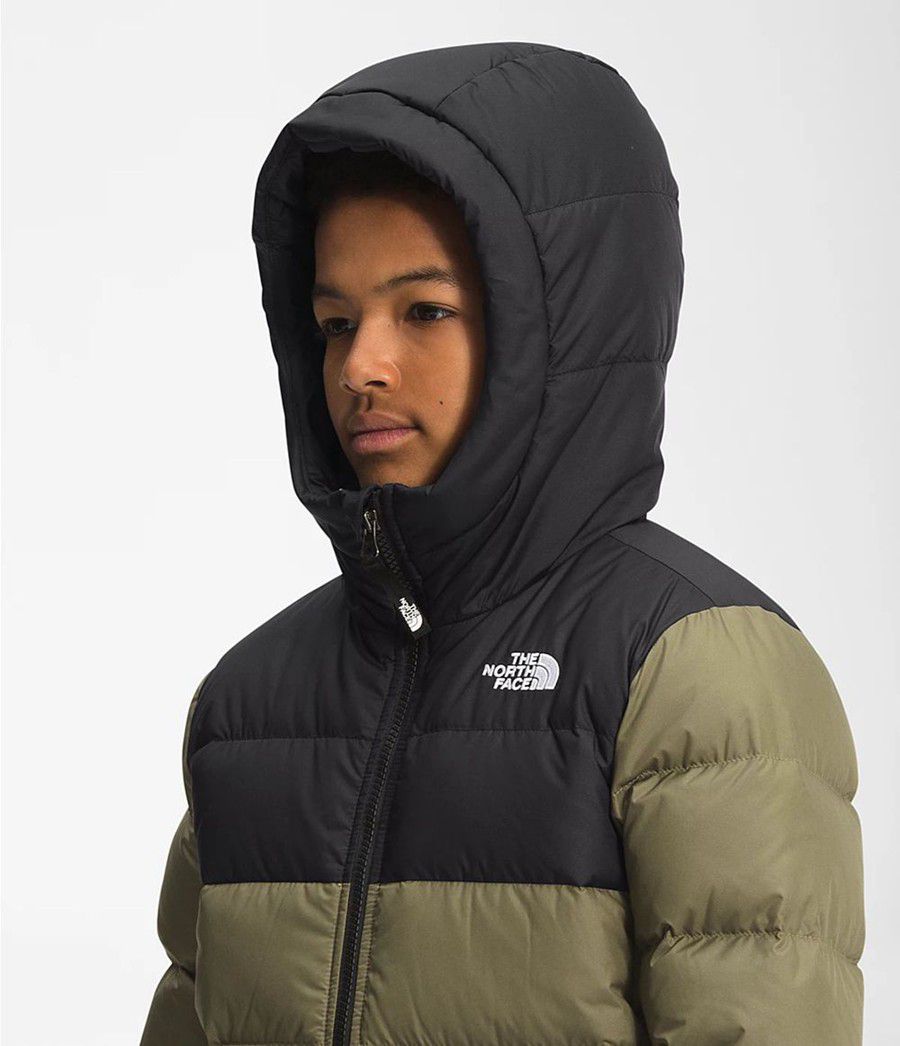 Dětské Hoodies The North Face Moondoggy Olivy Zelené | PMDUZIT-94