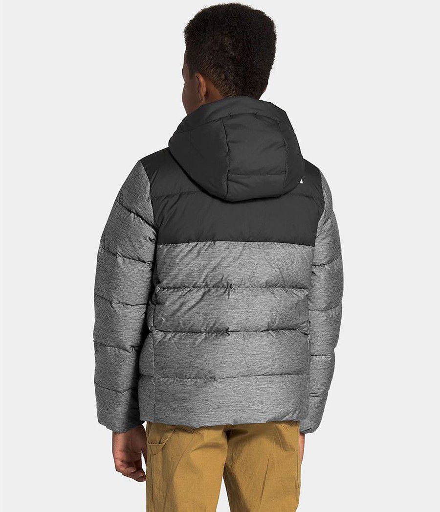Dětské Hoodies The North Face Moondoggy Šedé | QSAXPJB-04