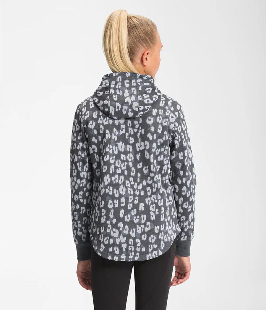 Dětské Hoodies The North Face Printed Camp Fleece Pullover Šedé | IQAVELJ-47