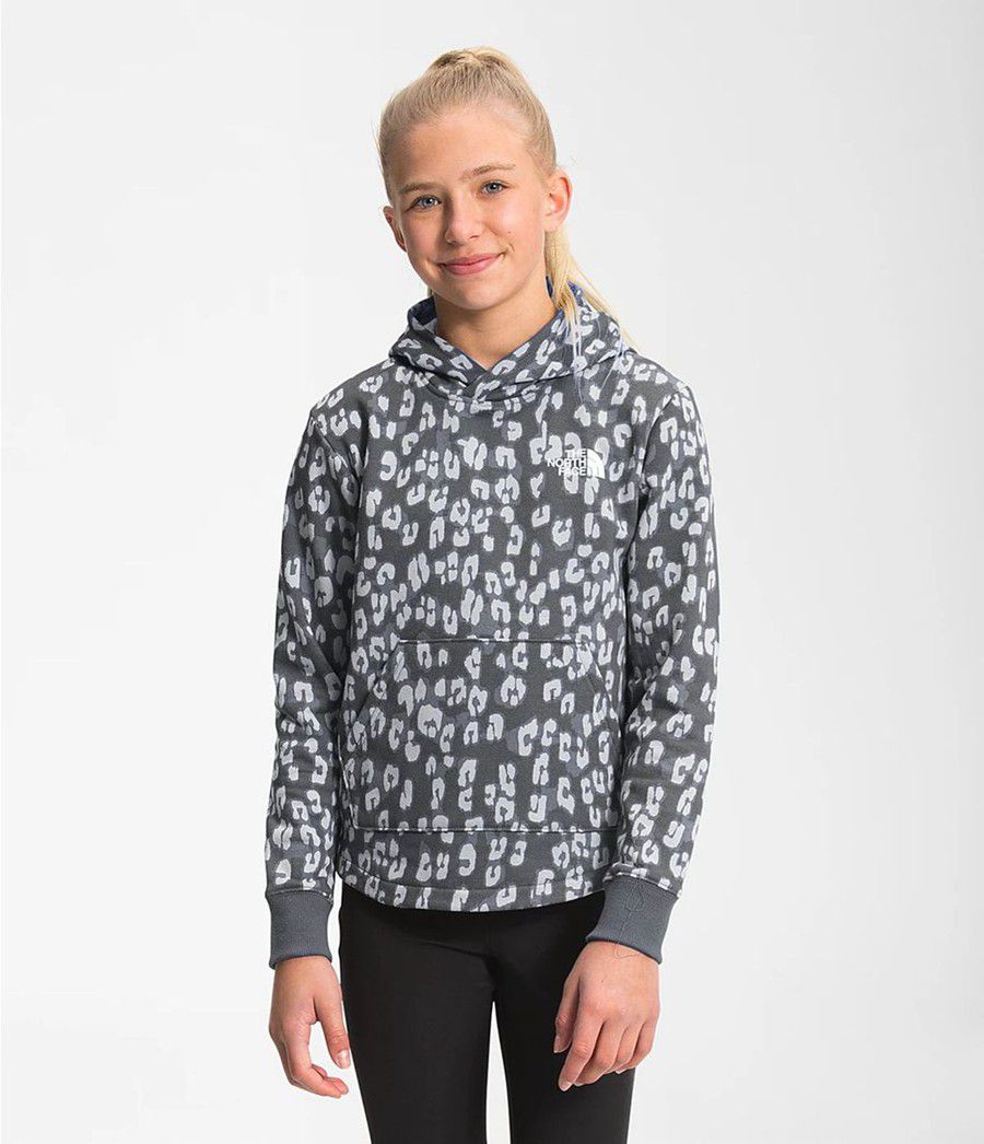 Dětské Hoodies The North Face Printed Camp Fleece Pullover Šedé | IQAVELJ-47