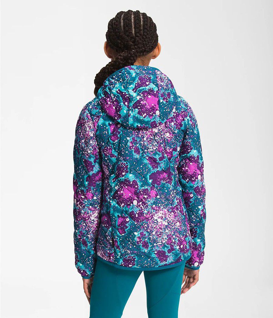 Dětské Hoodies The North Face Printed Thermoball Eco Viacfarebný | IEBAOHR-07