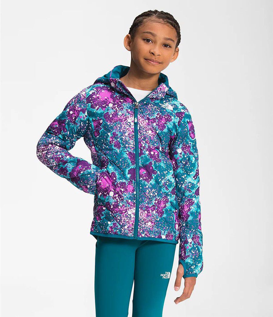 Dětské Hoodies The North Face Printed Thermoball Eco Viacfarebný | IEBAOHR-07