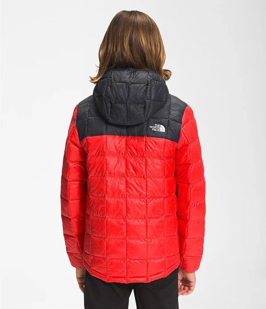 Dětské Hoodies The North Face Thermoball Eco Červené | NOZJWDV-96