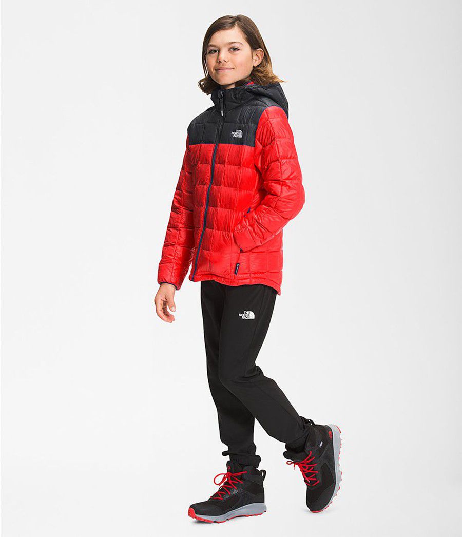 Dětské Hoodies The North Face Thermoball Eco Červené | NOZJWDV-96